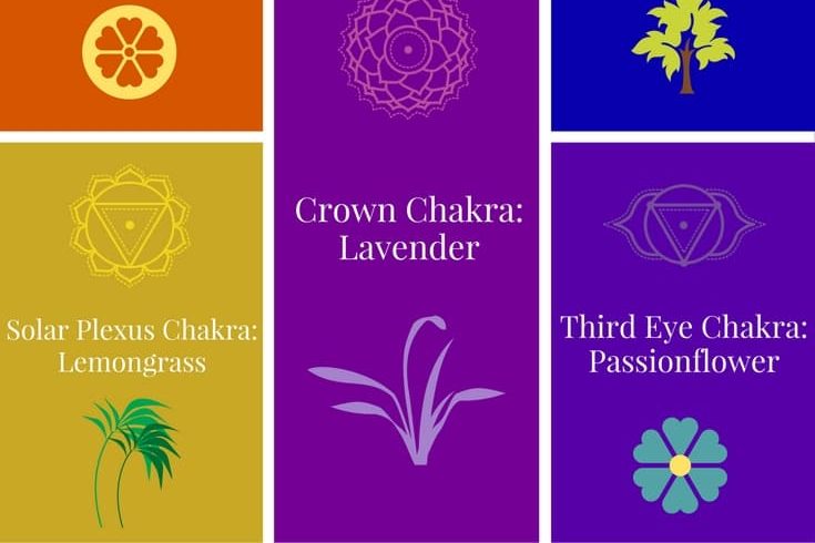 How Do You Clean Your Heart Chakra?